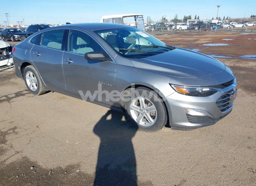 2023 Chevrolet Malibu FWD 1FL (VIN 1G1ZC5ST7PF157415) main photo
