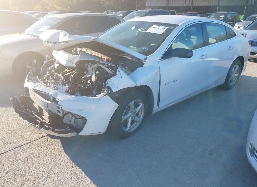 Photo 2 of 2018 Chevrolet Malibu 1FL (VIN 1G1ZC5ST8JF166583)