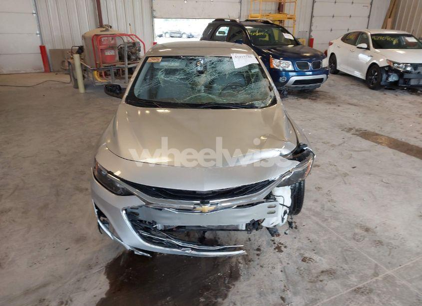 Photo 11 of 2019 Chevrolet Malibu 1FL (VIN 1G1ZC5ST8KF202290)