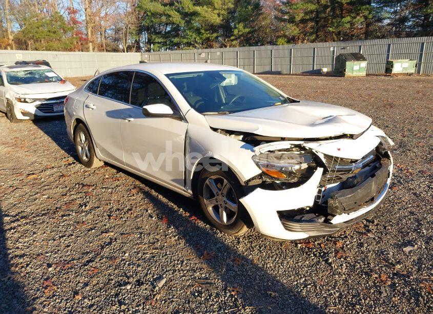 2019 Chevrolet Malibu 1FL (VIN 1G1ZC5ST8KF203567) main photo