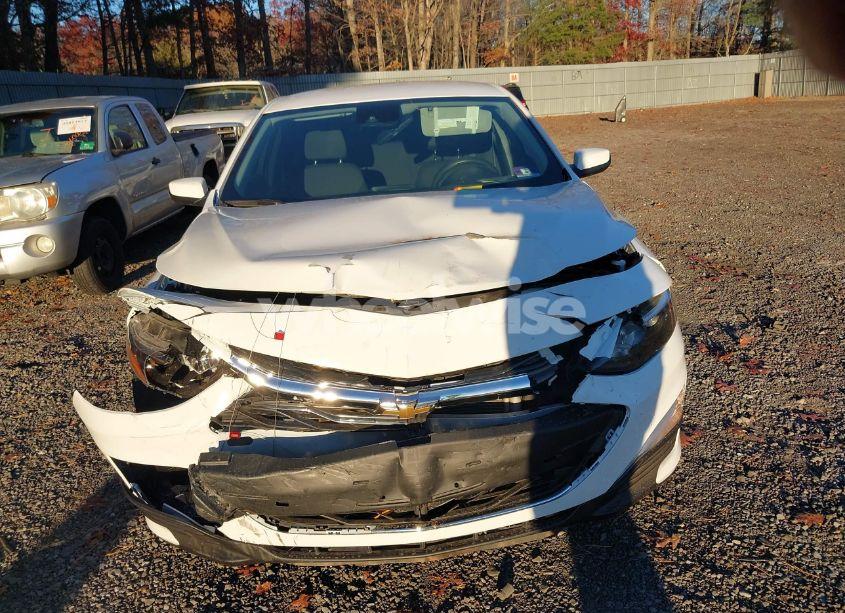 Photo 12 of 2019 Chevrolet Malibu 1FL (VIN 1G1ZC5ST8KF203567)