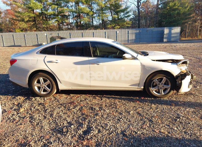 Photo 13 of 2019 Chevrolet Malibu 1FL (VIN 1G1ZC5ST8KF203567)