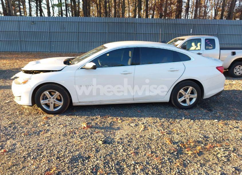 Photo 14 of 2019 Chevrolet Malibu 1FL (VIN 1G1ZC5ST8KF203567)