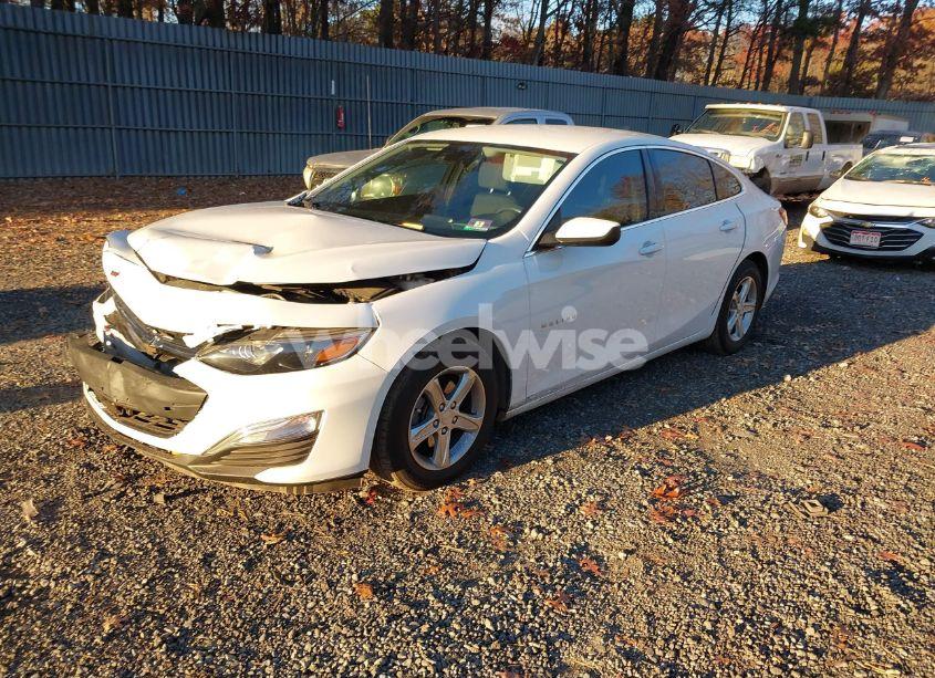 Photo 2 of 2019 Chevrolet Malibu 1FL (VIN 1G1ZC5ST8KF203567)