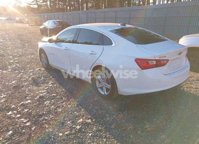 Photo 3 of 2019 Chevrolet Malibu 1FL (VIN 1G1ZC5ST8KF203567)