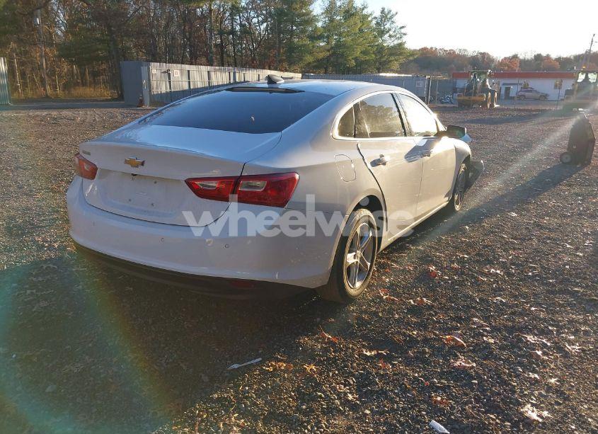 Photo 4 of 2019 Chevrolet Malibu 1FL (VIN 1G1ZC5ST8KF203567)
