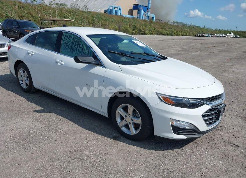 2023 Chevrolet Malibu FWD 1FL (VIN 1G1ZC5ST8PF118381) main photo
