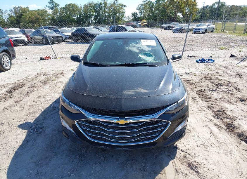 Photo 12 of 2020 Chevrolet Malibu FWD 1FL (VIN 1G1ZC5ST9LF116147)