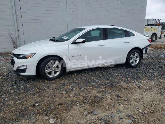Photo 10 of 2023 CHEVROLET MALIBU LS N/A (VIN 1G1ZC5ST9PF186298)
