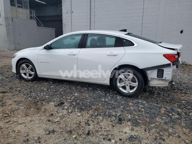 Photo 12 of 2023 CHEVROLET MALIBU LS N/A (VIN 1G1ZC5ST9PF186298)