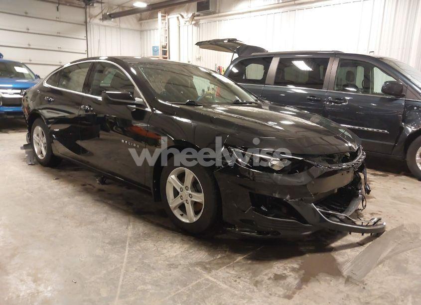 2019 Chevrolet Malibu 1FL (VIN 1G1ZC5STXKF123929) main photo