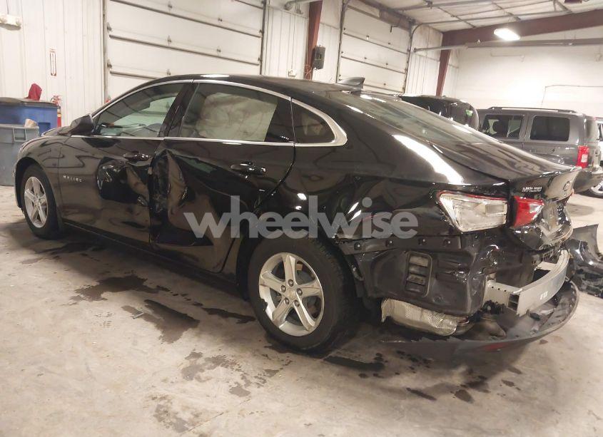 Photo 3 of 2019 Chevrolet Malibu 1FL (VIN 1G1ZC5STXKF123929)