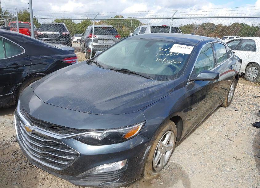 Photo 2 of 2019 Chevrolet Malibu 1FL (VIN 1G1ZC5STXKF126829)