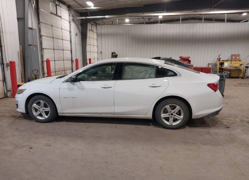 Photo 14 of 2023 Chevrolet Malibu FWD 1FL (VIN 1G1ZC5STXPF112601)
