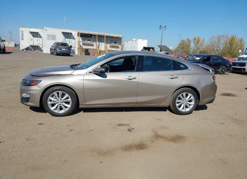 Photo 14 of 2023 Chevrolet Malibu FWD 1LT (VIN 1G1ZD5ST0PF116959)