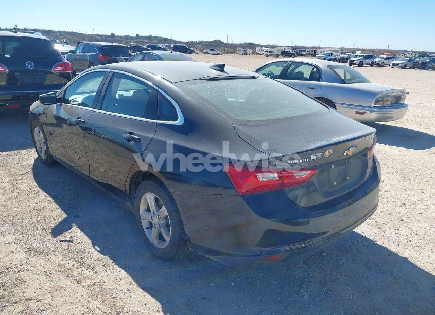 Photo 3 of 2023 Chevrolet Malibu FWD 1LT (VIN 1G1ZD5ST0PF186431)