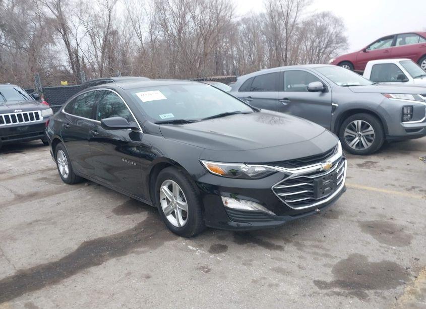2023 Chevrolet Malibu FWD 1LT (VIN 1G1ZD5ST0PF215913) main photo