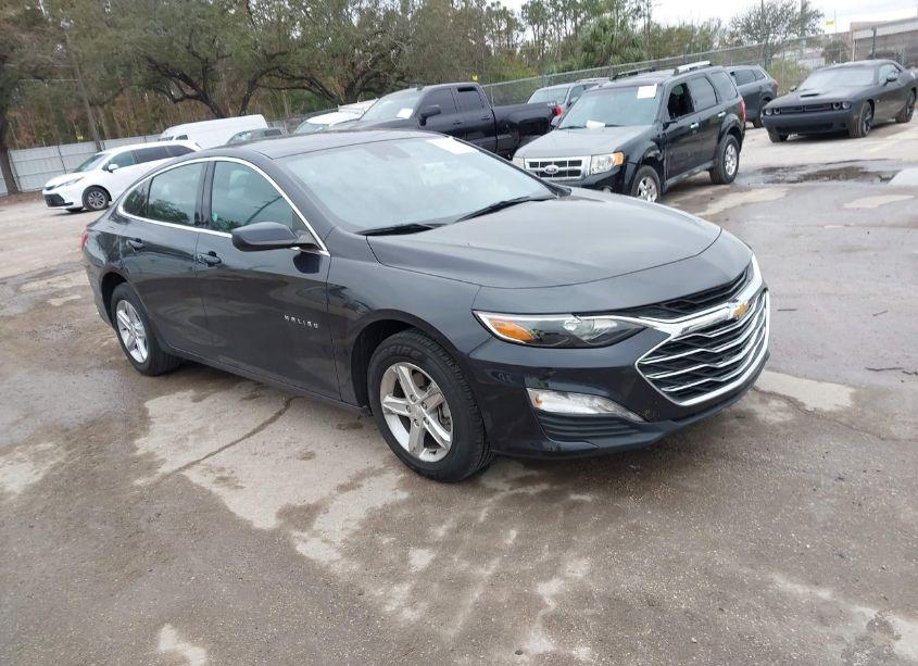 2023 Chevrolet Malibu FWD 1LT (VIN 1G1ZD5ST0PF230105) main photo