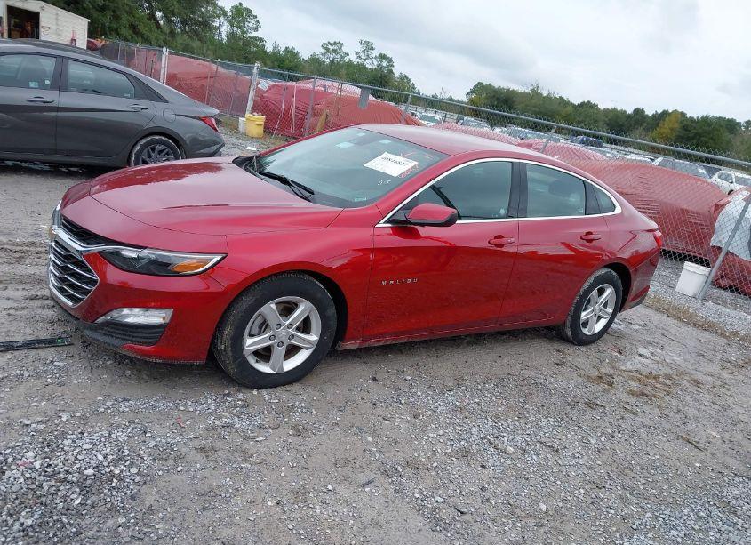 Photo 14 of 2024 Chevrolet Malibu FWD 1LT (VIN 1G1ZD5ST0RF115314)