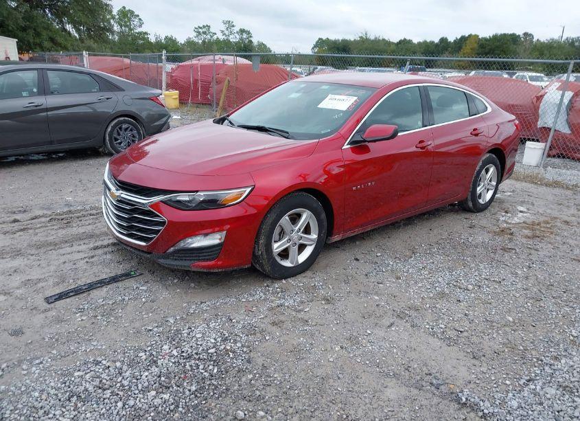Photo 2 of 2024 Chevrolet Malibu FWD 1LT (VIN 1G1ZD5ST0RF115314)