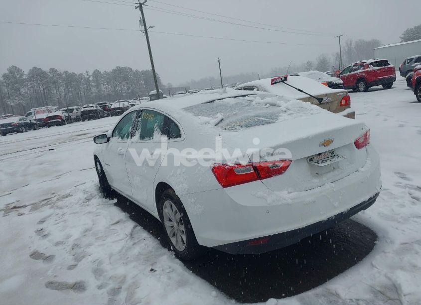 Photo 3 of 2024 Chevrolet Malibu FWD 1LT (VIN 1G1ZD5ST0RF135000)