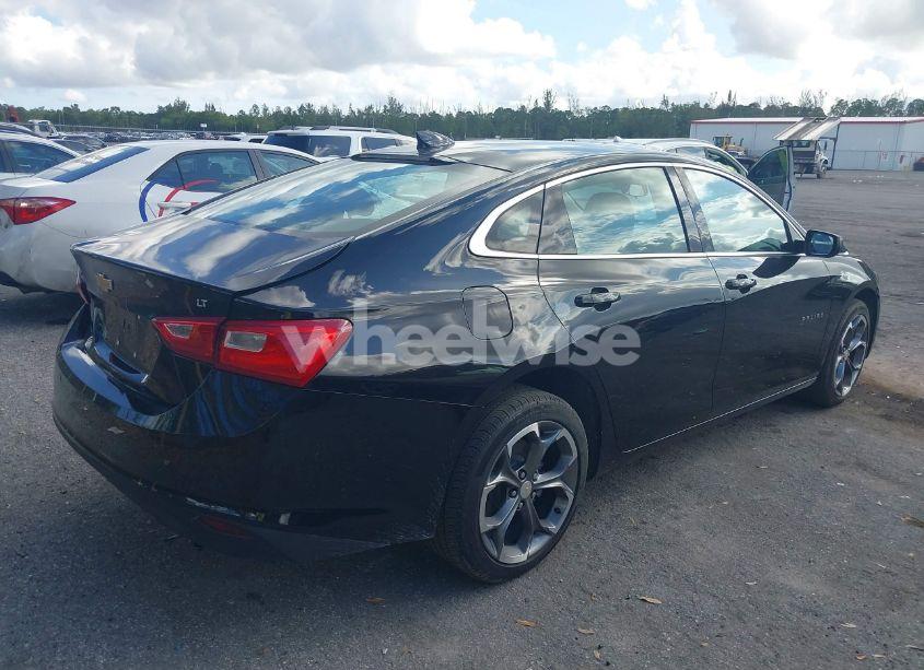 Photo 4 of 2024 Chevrolet Malibu FWD 1LT (VIN 1G1ZD5ST0RF147342)