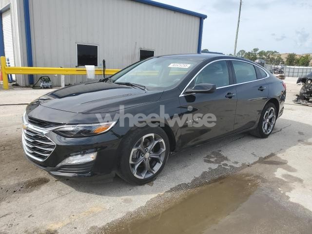 Photo 2 of 2024 CHEVROLET MALIBU LT (VIN 1G1ZD5ST0RF170443)