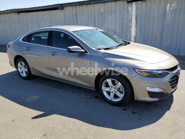 Photo 11 of 2024 CHEVROLET MALIBU LT (VIN 1G1ZD5ST0RF202677)