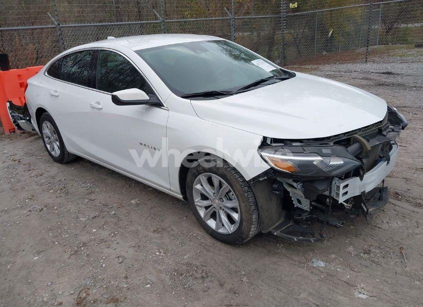 2024 Chevrolet Malibu FWD 1LT (VIN 1G1ZD5ST0RF219964) main photo