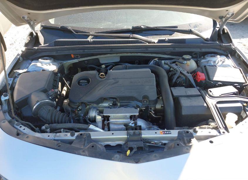 Photo 10 of 2019 Chevrolet Malibu LT (VIN 1G1ZD5ST1KF137537)