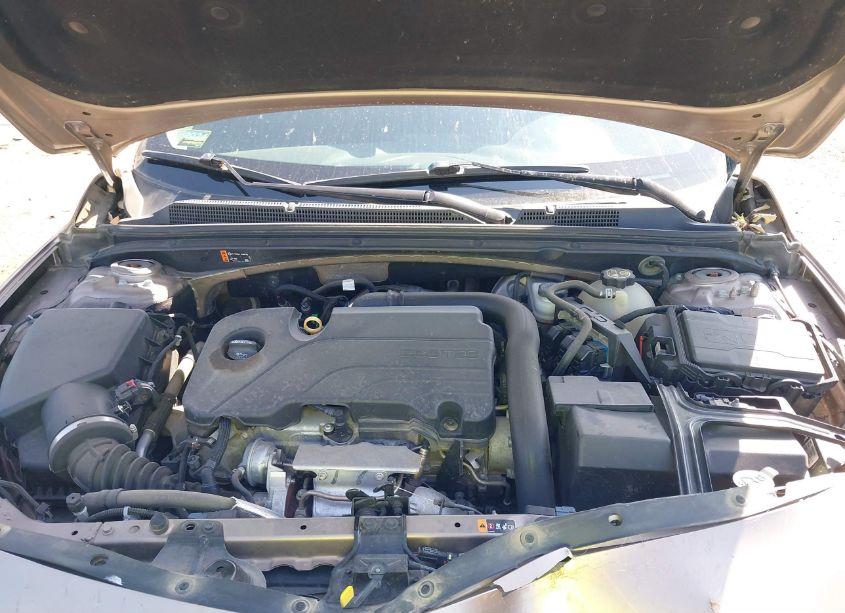 Photo 10 of 2019 Chevrolet Malibu LT (VIN 1G1ZD5ST1KF140406)