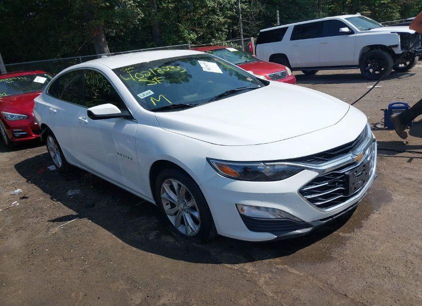 2019 Chevrolet Malibu LT (VIN 1G1ZD5ST1KF168061) main photo