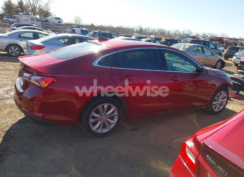 Photo 14 of 2019 Chevrolet Malibu LT (VIN 1G1ZD5ST1KF194126)