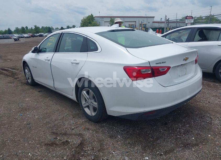 Photo 3 of 2023 Chevrolet Malibu FWD 1LT (VIN 1G1ZD5ST1PF169475)