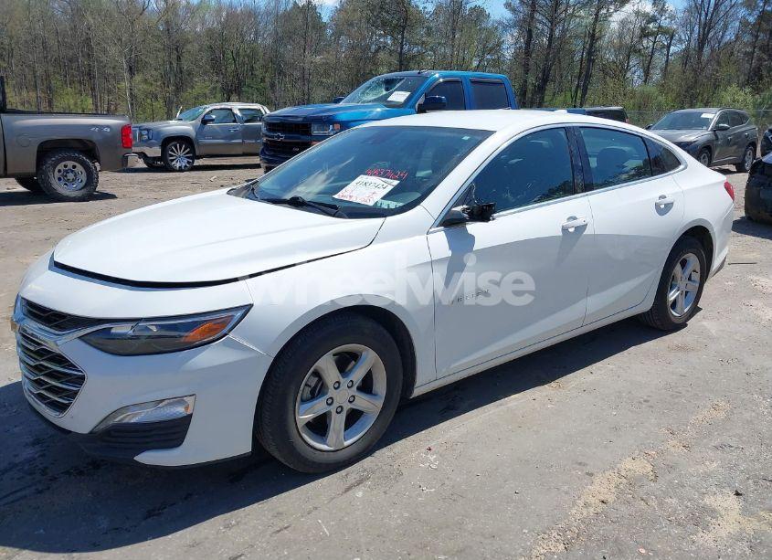 Photo 2 of 2024 Chevrolet Malibu FWD 1LT (VIN 1G1ZD5ST1RF109344)