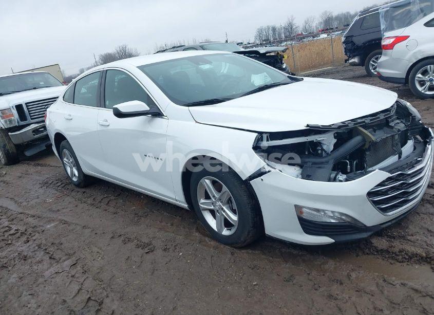 2024 Chevrolet Malibu FWD 1LT (VIN 1G1ZD5ST1RF130680) main photo