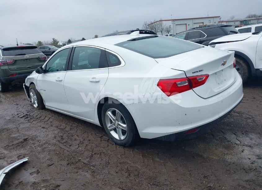 Photo 3 of 2024 Chevrolet Malibu FWD 1LT (VIN 1G1ZD5ST1RF130680)