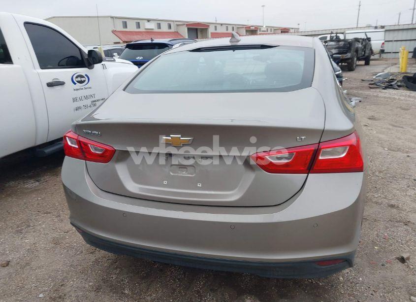 Photo 16 of 2024 Chevrolet Malibu FWD 1LT (VIN 1G1ZD5ST1RF131764)