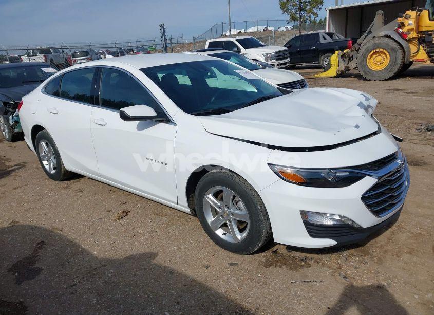 2024 Chevrolet Malibu FWD 1LT (VIN 1G1ZD5ST1RF142005) main photo