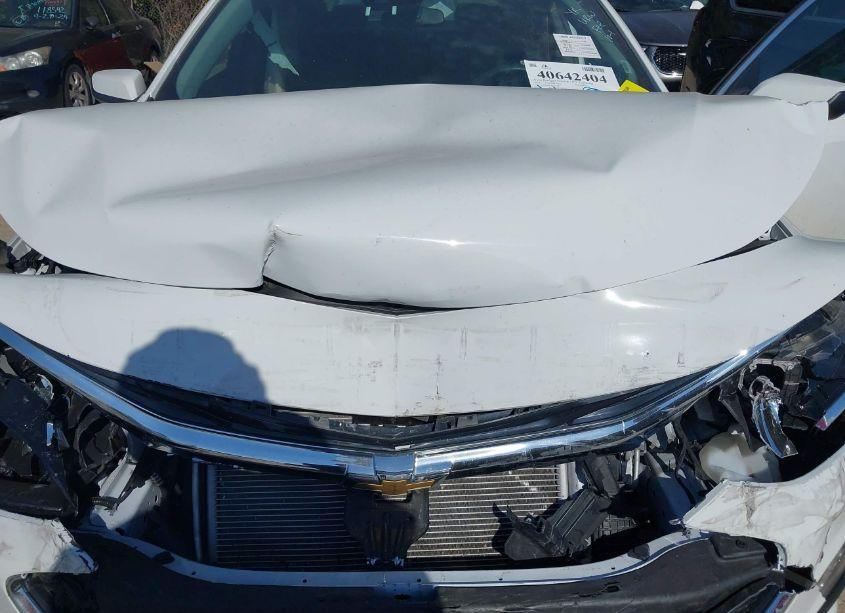 Photo 10 of 2024 Chevrolet Malibu FWD 1LT (VIN 1G1ZD5ST1RF151786)