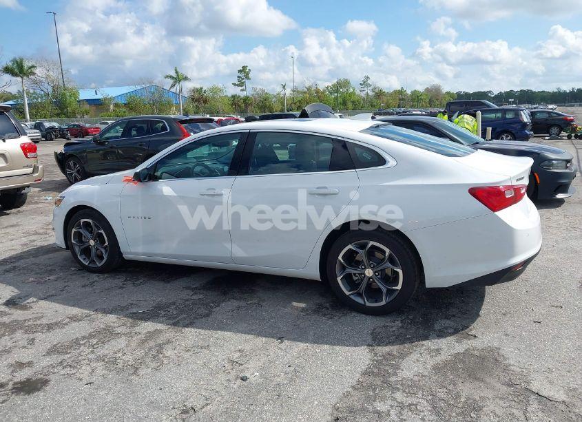 Photo 14 of 2024 Chevrolet Malibu FWD 1LT (VIN 1G1ZD5ST1RF187316)