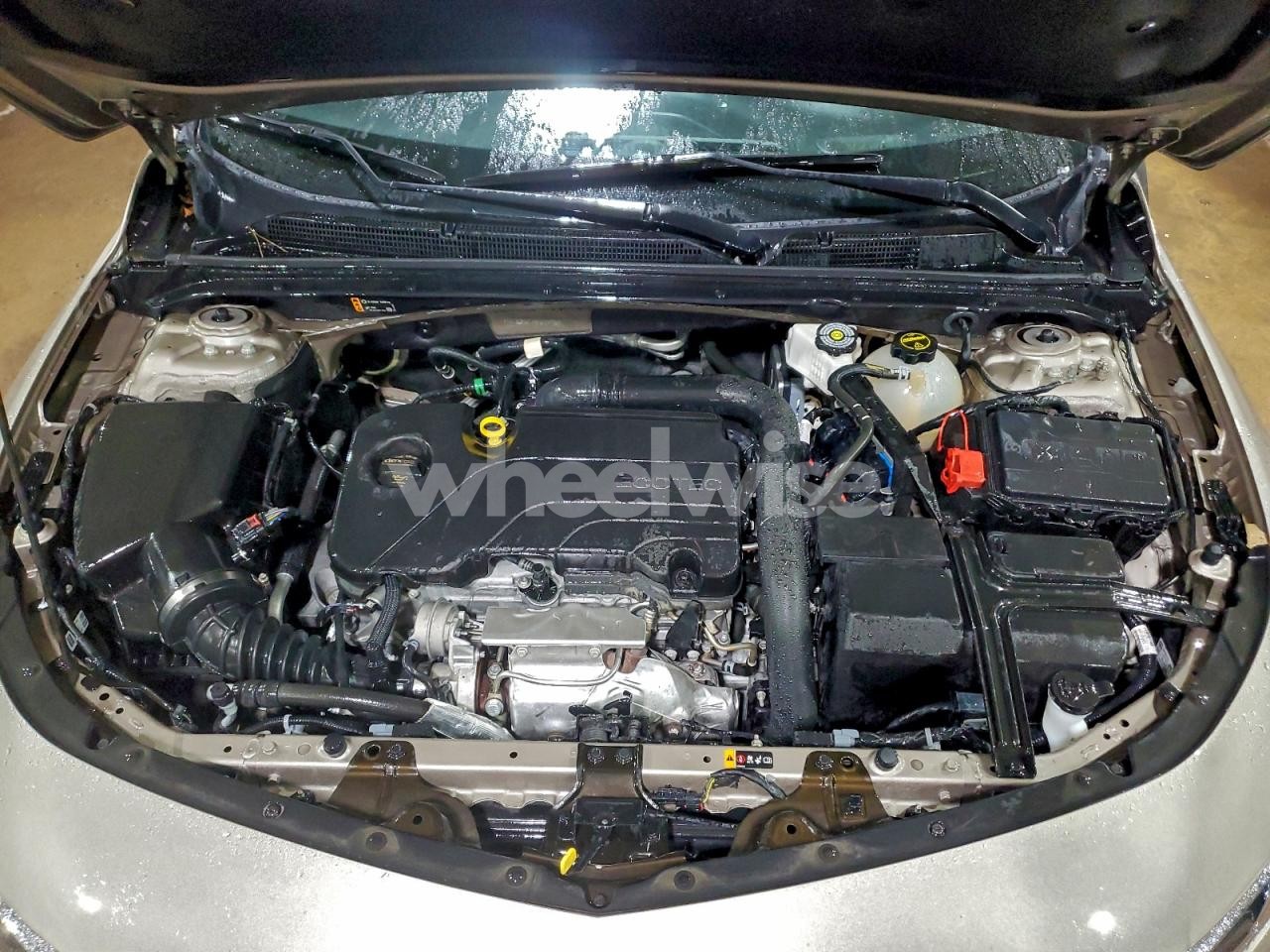 Photo 11 of 2024 CHEVROLET MALIBU LT (VIN 1G1ZD5ST1RF219102)