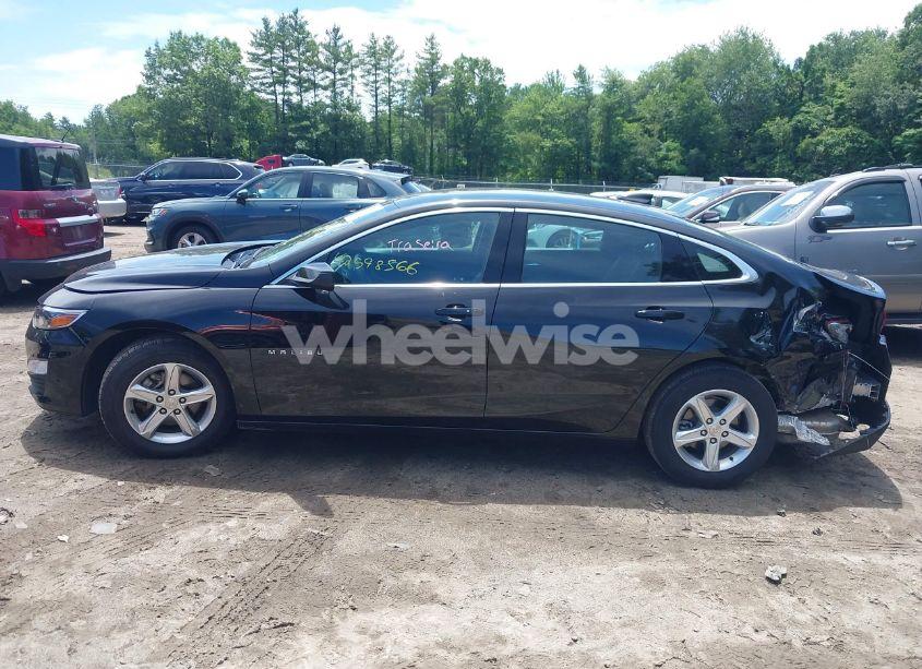 Photo 14 of 2023 Chevrolet Malibu FWD 1LT (VIN 1G1ZD5ST2PF224953)
