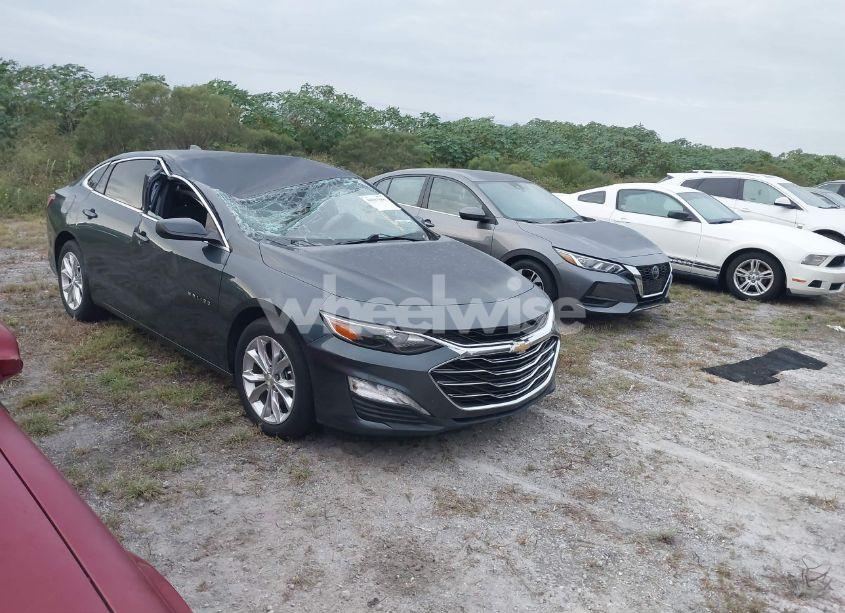 2019 Chevrolet Malibu LT (VIN 1G1ZD5ST3KF118844) main photo