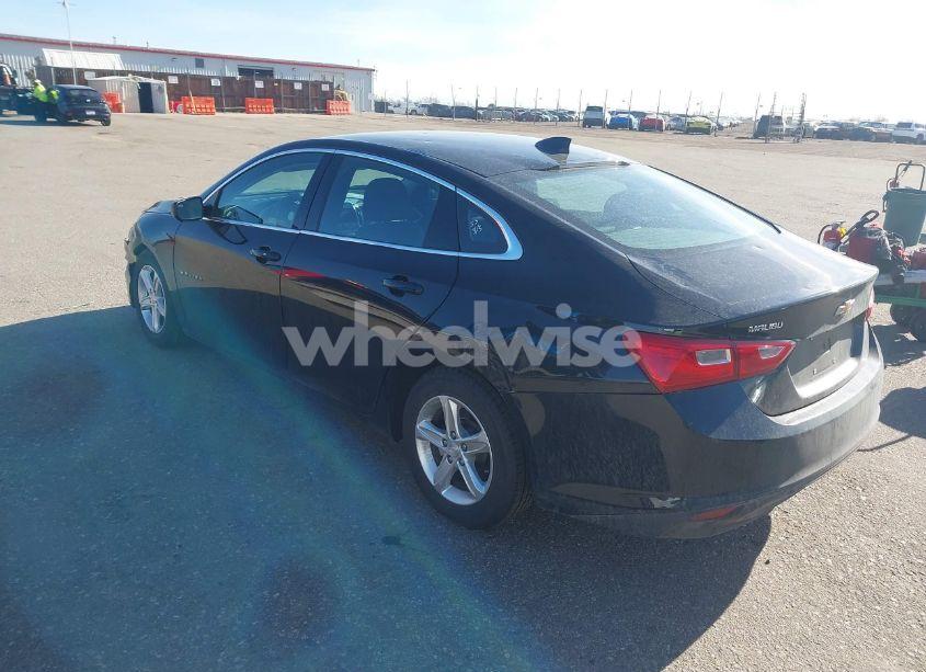 Photo 3 of 2023 Chevrolet Malibu FWD 1LT (VIN 1G1ZD5ST3PF203285)