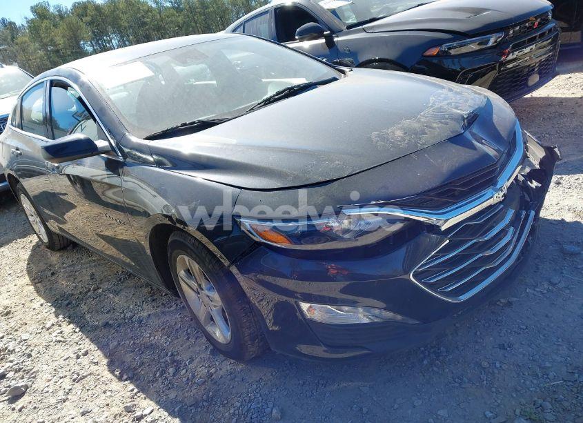 2023 Chevrolet Malibu FWD 1LT (VIN 1G1ZD5ST3PF206526) main photo