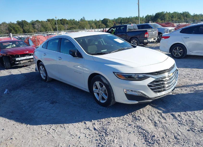 2024 Chevrolet Malibu FWD 1LT (VIN 1G1ZD5ST3RF116800) main photo