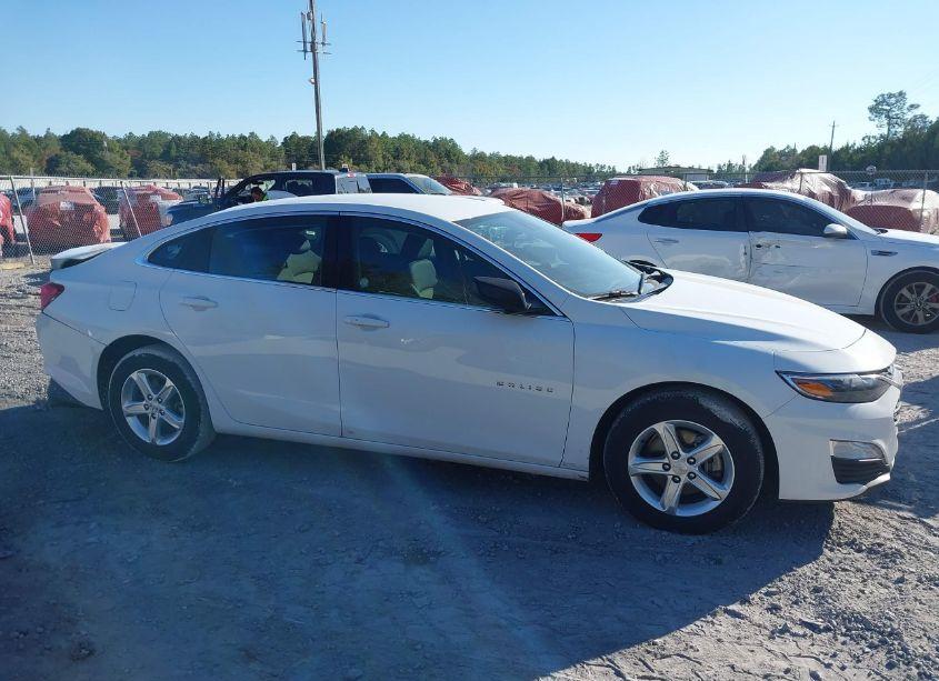 Photo 13 of 2024 Chevrolet Malibu FWD 1LT (VIN 1G1ZD5ST3RF116800)