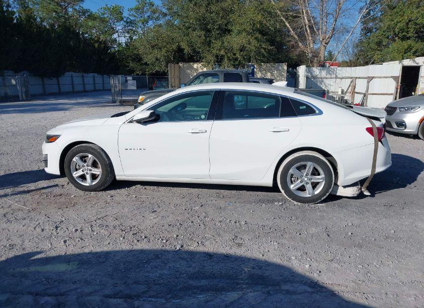 Photo 14 of 2024 Chevrolet Malibu FWD 1LT (VIN 1G1ZD5ST3RF116800)