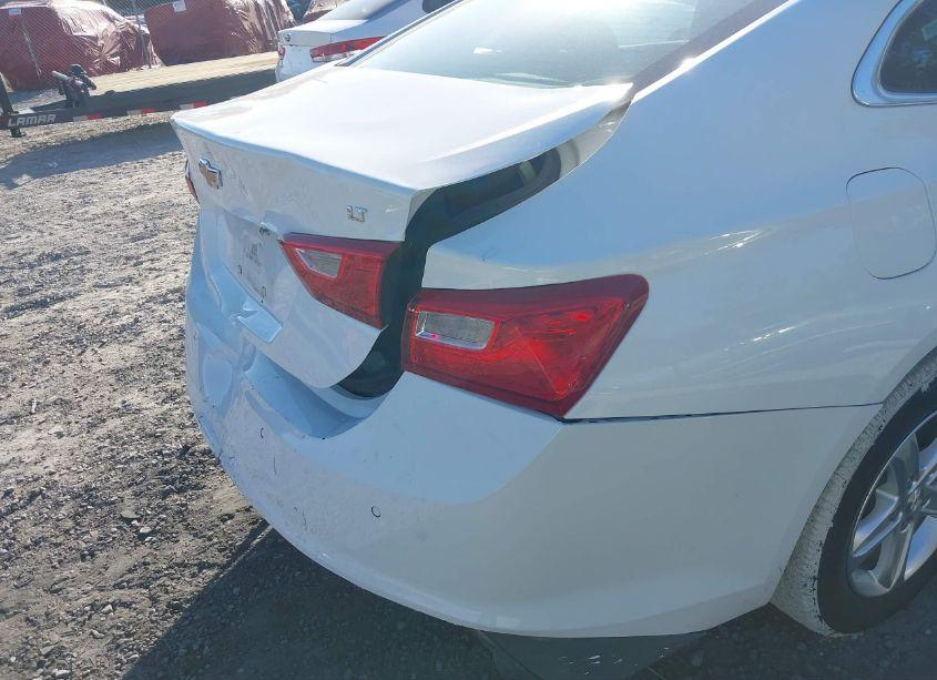 Photo 18 of 2024 Chevrolet Malibu FWD 1LT (VIN 1G1ZD5ST3RF116800)